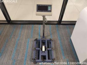 China Digital Carbon Steel 45x60cm 300kg Platform Scale Bench Scale With T7+E Weighing Indicator factory