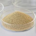 Immobilized Lipase, Industrial Enzyme, Bioenergy Enzyme