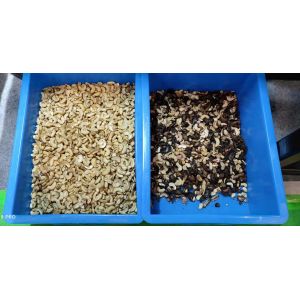 Optical CCD Nut Color Sorter Peanut Cashew Almond Color Sort Machine With High
