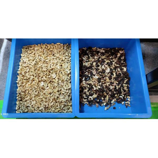 WENYAO CCD LED Lights Nuts Peanuts Color Sorter Machine For Food Plant