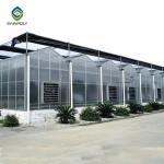 9.6m PC Sheet Greenhouse