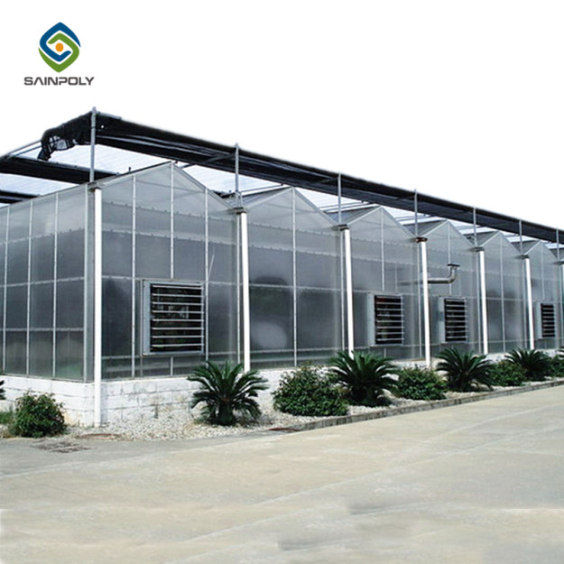 China 9.6m PC Sheet Greenhouse factory