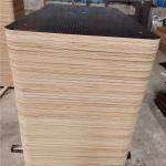 Grey Color Birch Core Phenolic Glue Film Faced Plywood