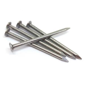 China 1in Flat Head Diameter Carbon Steel Iron Wire Nails for Wood Furniture Roofing Common factory