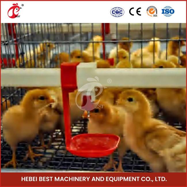 Galvanized Chick Baby Brooding Cages For Chickens Holds Up To 120 Chicks Capacity Sandy
