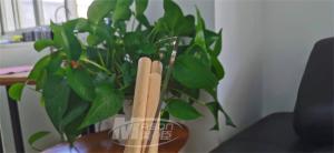 China Cast Acrylic Plexiglass Plastic Sheets 1220x2440mm Weathering Resistance factory