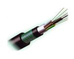 Ethernet Non Metallic Fiber Optic Cable GYTA53 4 8 12 24 48 96 Core Stranded