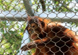 China Knotted Or Ferrule Type Stainless Steel Aviary Mesh Diamond For Animal Enclosure factory