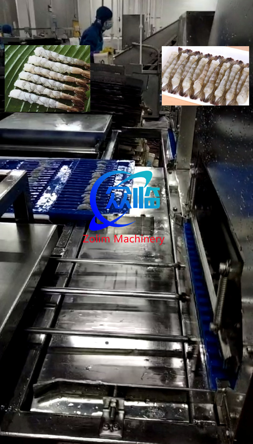 2.25KW Tempura Shrimp NOBASHI Stretching Machine, Shrimp Extending Machine