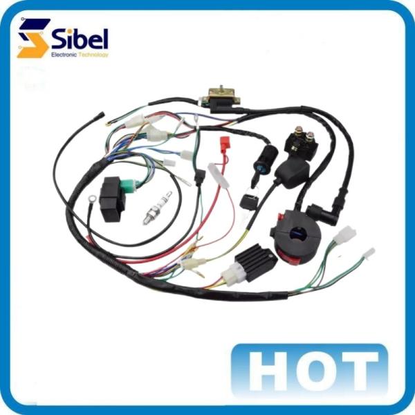 Professional Custom Assembly Manufacturer OEM Customize Engine Wire Harness
