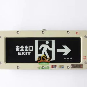 Rechargeable Explosion Proof Emergency Light – 3W, 3.6V Battery, IP65 for