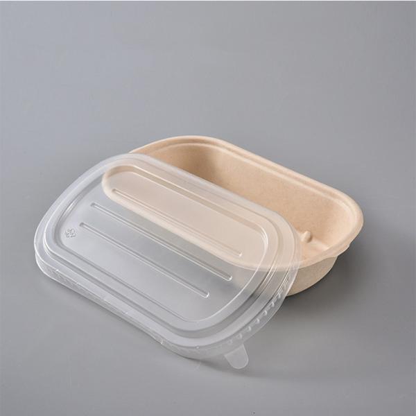 China 850ml 1000ml Biodegradable Bagasse Tableware Greaseproof Microwave Container With Lid factory