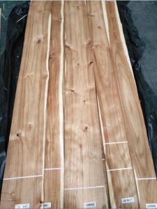 China Acacia Natural Wood Veneer Knotty Acacia Exotic Wood Veneers for Furniture Doors &amp; Veneered Plywood factory