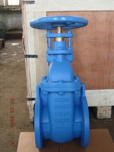 China (BS) Cast Iron Gate Valve NRS factory