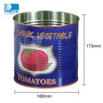 Airtight Empty Food Tin Cans Round / Rectangular For Edible Gummies Mints
