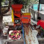 Coffee/Cocoa Beans Peeling Machine for Industrial Production at 910*730*1265mm