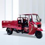 Gasoline Tricycle For Africa Fuel Tank Capacity 10-20L Displacement 250cc