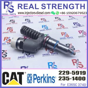 China Diesel Engine C-15 Fuel Injector 229-5919 10R-1000 For CAT Caterpillar Engine Industrial 3406E C15 C-15 factory