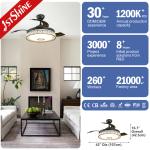 Ultra Quiet Music Invisible Ceiling Fan Chandelier Remote Control