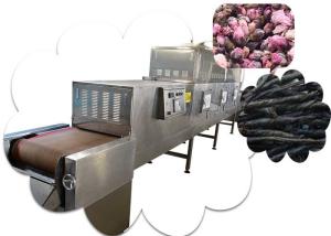 China Sliver Microwave Tea Oven Dryer Continuous Belt Sterilization Machine factory