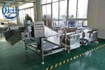 Fruits And Vegetables Washing Machine Seafood Washing Machine Fish/Shrimp