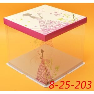 Disposable Clear/transparent Sandwich/cake Plastic Food Container/box/packaging