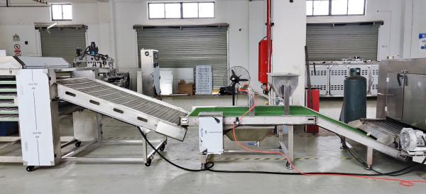 Fully Automatic Flour Tortilla Production Equipment With Schneider Electric