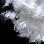 Semi Virgin Polyester Staple Fiber 2.5D×8mm With Warmth Retention Property