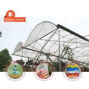China Multi-Span Rain Shelter Greenhouse with PE Film Covering and Hot Galvanized Steel Frame in Customizable Sizes factory