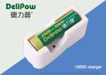 Portable Compact Design Lithium Rechargeable Battery18650 Charger
