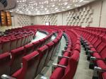 Cushion Folding Theater Seats With Strong Aluminum Feet / Audience Seating