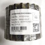Construction Machinery Parts Gear Planet XKAQ-00137 3929027 XKAQ-00172 For
