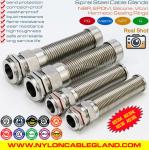 AISI316L, AISI316, AISI304 Stainless Steel Metal PG Flexible Cable Gland (IP68)