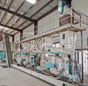 China Indonesia 10t/h Wood Biomass Pellet Production Line Used in Biomass Power Generation factory
