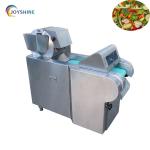 Multifunctional Vegetable Chopper for Cutting Capacity 600/1000/1500kg/h Voltage