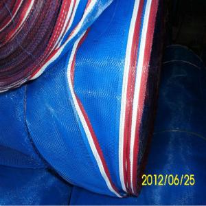 China Thailand market use blue plastic wire netting factory