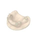 DLP LCD Dental Engineered Opposite Jaw Model Resin