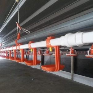 China Orange Chicken Watering System Low Pressure Automatic Poultry Watering System factory