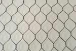 Lightweight 7*7 Stainless Steel Aviary Mesh Aviary Netting For Parrots