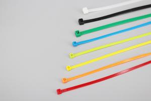 China 4.8*300mm DEMOELE cable ties famous black natural color full nylon self locking cable ties factory