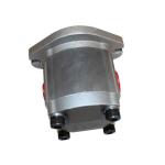 Restaurant High Pressure Pump Gear Pumps Hydraulic Oil Pumps for Road Roller