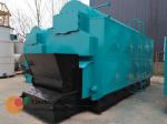 Rice Husk Pellet Biomass Fired Steam Boiler , Chain Grate Stoker Travelling