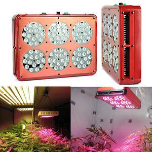 China ebay best seller apollo6 led grow lights led new patent mini 270w hydro power plant factory