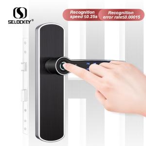 China Fingerprint Wifi Electric Gate Door Double Sided Bluetooth Smart Locks factory