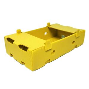 China Yellow Turnover Box PP Hollow Sheet Polypropylene Corrugated Board Storage Vegetable factory
