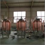 300L lager beer brewery equipment for brewpub and restaurant