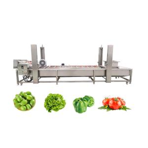 China Water Saving Vegetable Seed Cleaning Peeling Machine 2500*1200*1300mm for Fruit Washing factory