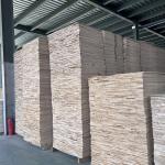 Upgrade Your Home Decor with FSC Certified Paulownia Slats After-sale Service