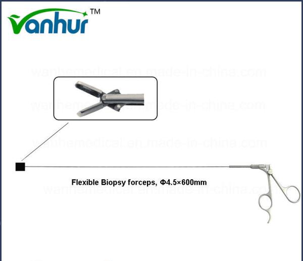 Ureterorenoscopy Urology Surgical Instruments Steel Flexible Biopsy Forceps