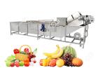 Bubble Type Ozone Vegetable Washing Machine Strawberry Cherry Fruit Washing